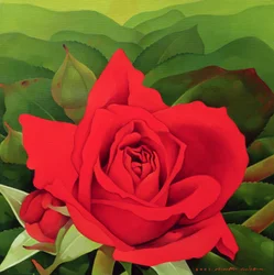 De Roos, 2003